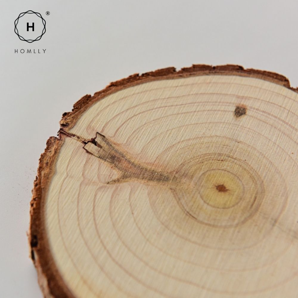 Homlly Unfinished Wood Rounds Natural Thicken Slab with Bark for Coasters Centerpieces Wedding Rustic Craft Wooden Christmas Ornaments
