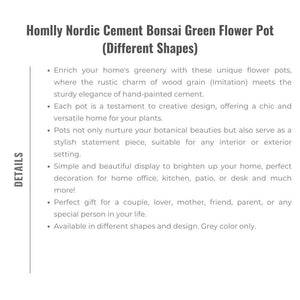 Homlly Nordic Cement Bonsai Green Flower Pot (Different Shapes)