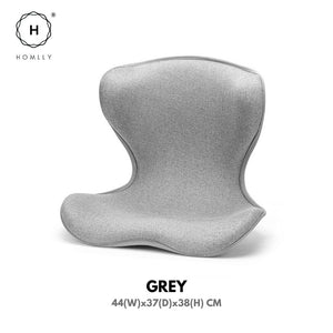 Homlly Trusby Ergonomic Chair Back Lumbar Support for Good Posture Correction and Back Pain Relief
