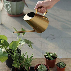 Homlly Keii Gold Long Spout Stainless Steel Gardening Watering Can Kettle Pot for Indoor Plants and Garden