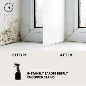 Homlly Instant Mold and Mildew Stain Remover Spray (500ml)
