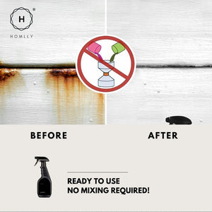 Homlly Instant Mold and Mildew Stain Remover Spray (500ml)