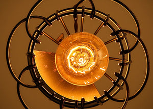 Metal Flower Ceiling Lamp