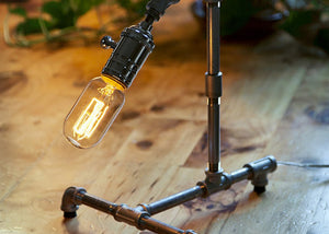 Peter Piper Desk Lamp